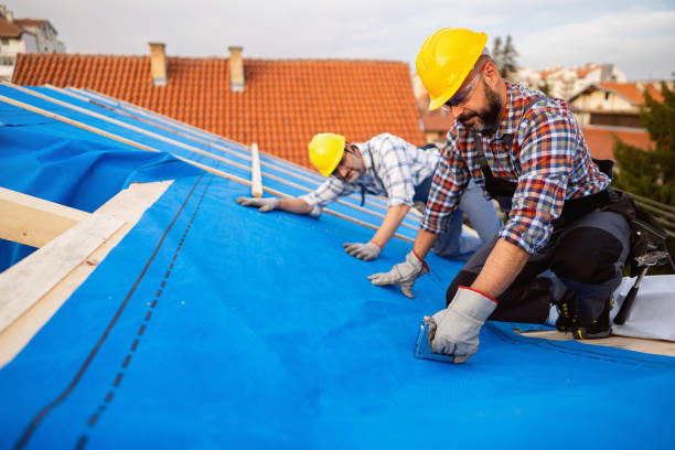 Fast & Reliable Emergency Roof Repairs in Melrose, MN